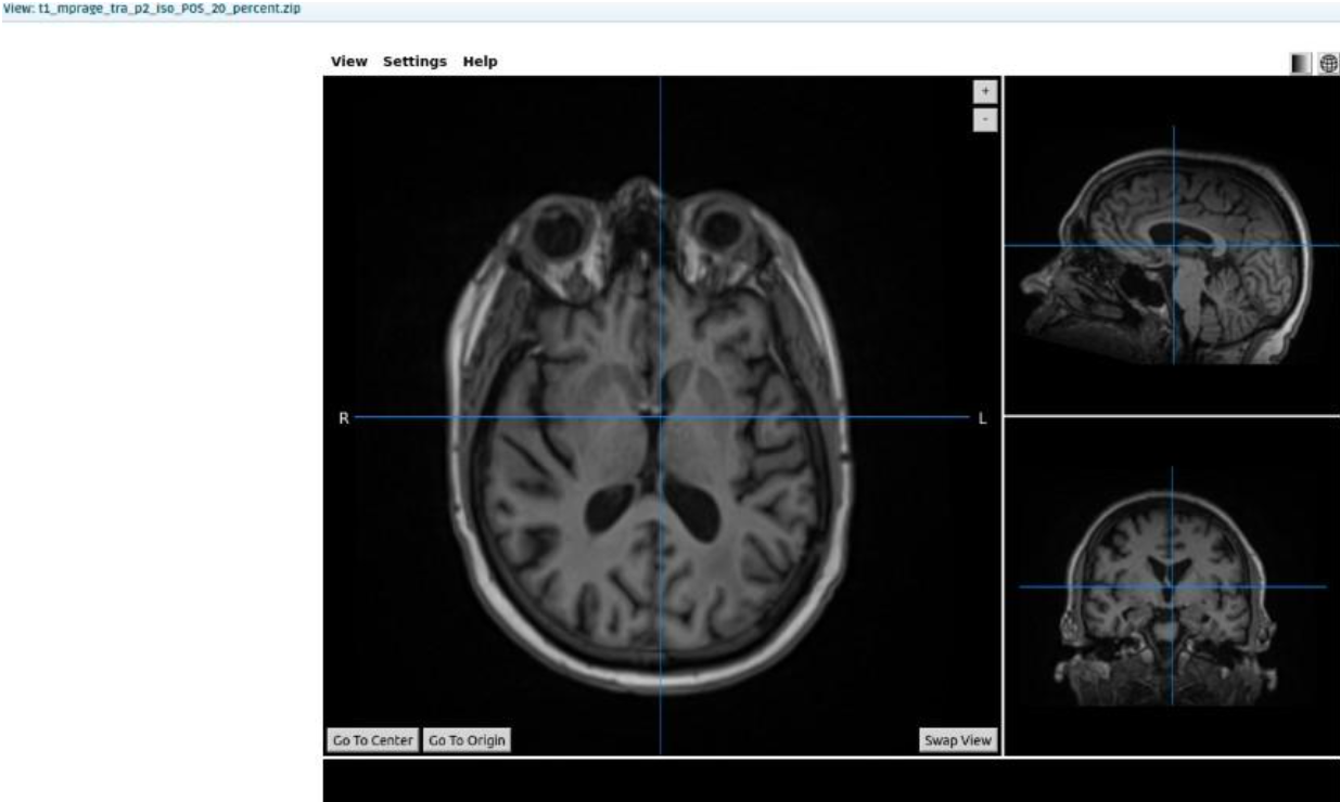 _images/medical_image_results_5.png