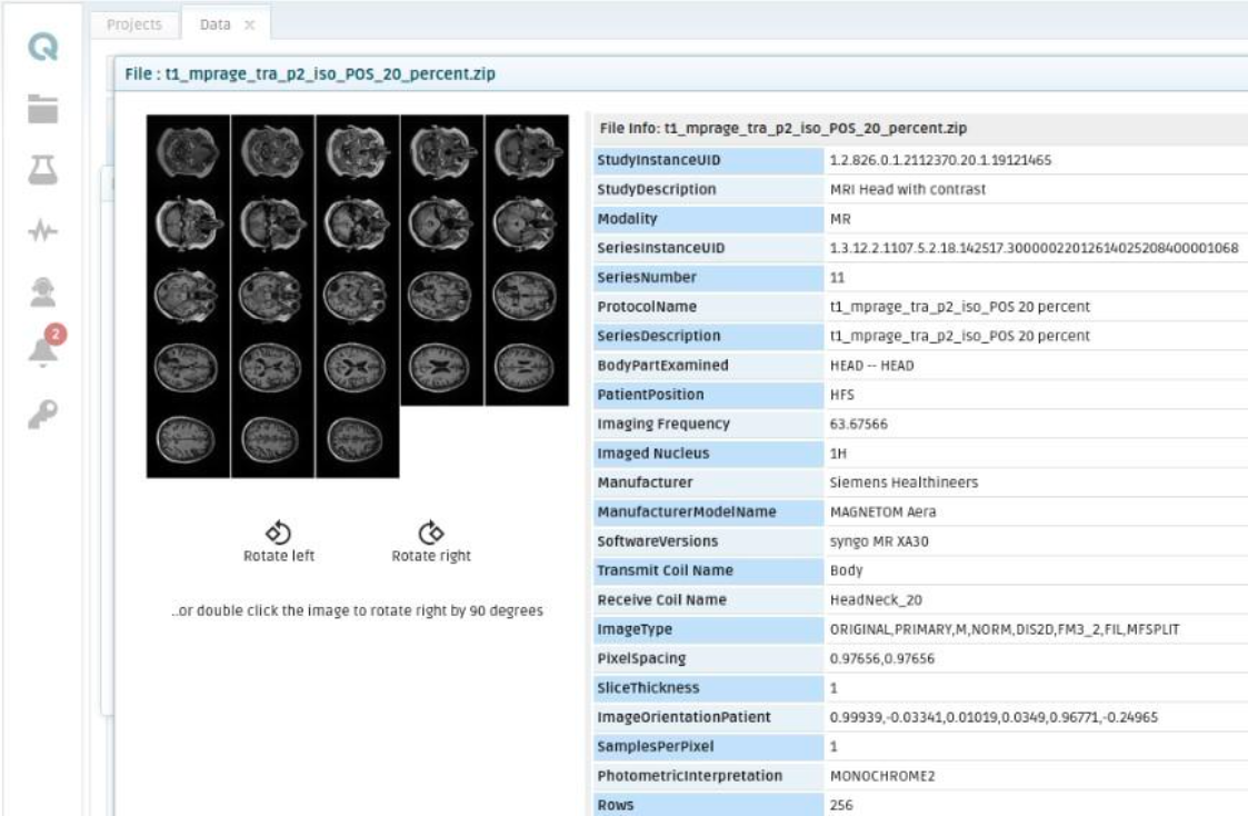 _images/medical_image_results_6.png